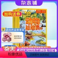 [正版]杂志预订动物总动员环球少年地理幼儿版 2024年8月起订 1年共12期 幼儿自然科普刊美国国家地理低幼版 li