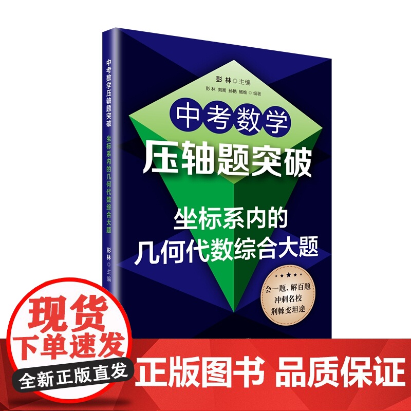 中考数学压轴题突破坐标系内的几何代数综合大题 数学七八九年级中考数学刷题初中数学解题技巧全套初中 上海教育出版社