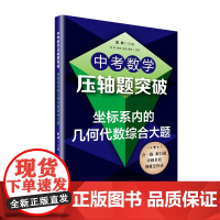中考数学压轴题突破坐标系内的几何代数综合大题 数学七八九年级中考数学刷题初中数学解题技巧全套初中 上海教育出版社