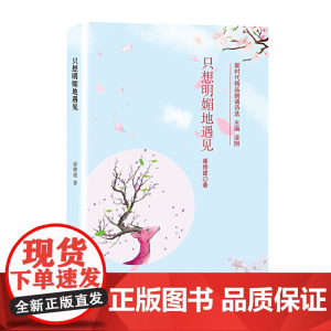 只想明媚地遇见