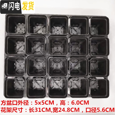 三维工匠掌柜推荐桌面简约多肉植物花盆小黑方扦插育苗塑料方盆价优 黑色5.5CM100个20孔花架5个 中小花盆容器