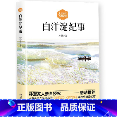 [正版]任选8件2019全新版本 白洋淀纪事 无删减版 孙犁先生著 完整收录久负盛名的《荷花淀》《芦花荡》等经典篇章6