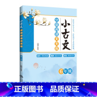 小古文分级阅读天天练:6年级 小学通用 [正版]2023小古文分级阅读天天练1一2二3三4四5五6六年级上下全一册小学文