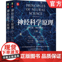正版 神经科学原理(英文版·原书第6版)神经科学 神经科学原理 诺贝尔奖 教科书金标准 埃里克·R.坎德尔 认知 行