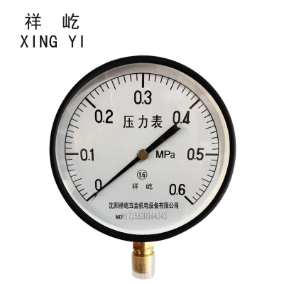 祥屹+压力表检测定制型+Y200+块