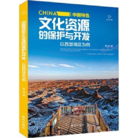 音像中国特文化的保护与开发(以西部地区为例)唐剑