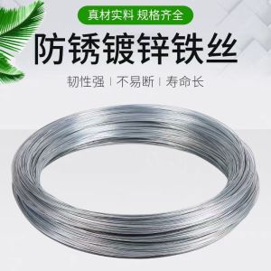 盛京联硕 镀锌铁丝 铁线 18号[直径约1.2mm] 公斤
