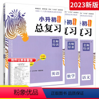 [小升初总复习]语数英 3本 小学升初中 [正版]2023小升初名师帮你总复习小学语文数学英语科学人教版六年级小升初必刷