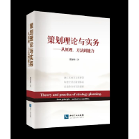 音像策划理论与实务--从原理方法到能力熊海峰