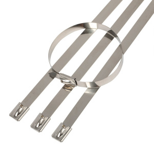 集倍 不锈钢扎带 12*800mm/根