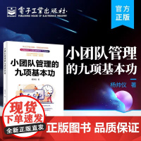 全新正版 小团队管理的九项基本功 小团队管理 家庭小团队 创业型小团队 电子工业出版社