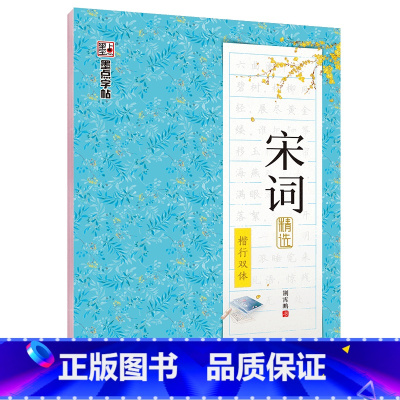 [楷行双体]宋词精选(荆霄鹏) [正版]字帖练字大学生行楷女男生行书字帖硬笔书法临摹练字帖成年初学者经典文化系列荆霄鹏楷