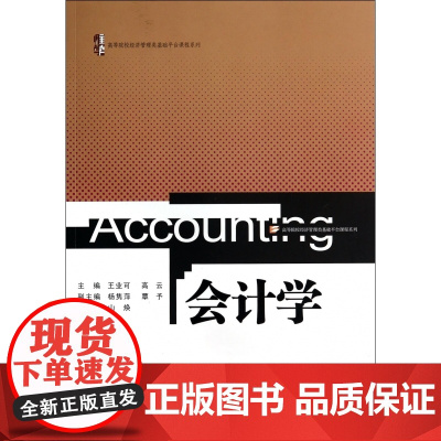 会计学/高等院校经济管理类基础平台课程系列