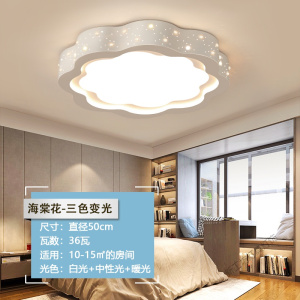 苏宁放心购 主卧室灯led吸顶灯北欧ins少女简约现代大气温馨浪漫儿童房间灯具