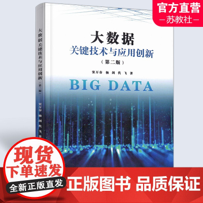 大数据关键技术与应用创新 第二版 数据处理 数据与数据管理技术 南京师范大学出版社