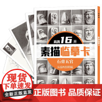 高清16开素描临摹卡石膏五官从结构到明暗 一线美誉基础高清卡片