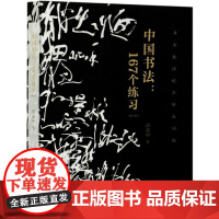 中国书法167个练习 增订版书法技法的分析与训练 书法技法的分析与训练邱振中毛笔钢笔书写技巧书法教程 书写写作技巧书入门
