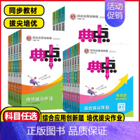 数学❤️人教版 七年级上 [正版]2024秋初中七八年级上九年级上册上下册数学语文英语物理化学典中点综合应用创新题初一二