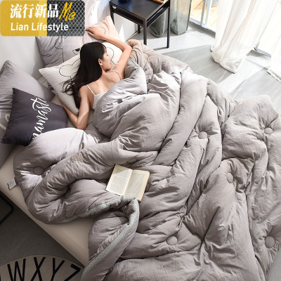 冬季被子冬被加厚保暖被芯棉被褥春秋单人学生宿舍双人冬天10斤 三维工匠