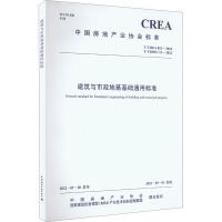 T/CREA 021-2022 T/CBIMU 15-2022 建筑与市政地基基