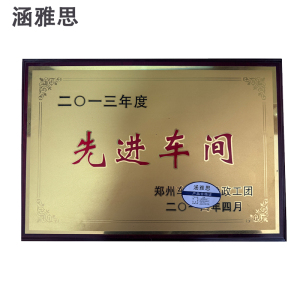 涵雅思 奖牌 40*60cm块