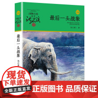 最后一头大象动物小说大王沈石溪品藏书系狼王梦斑羚飞渡青少年课外书8-10-12-15岁四五六年级小学生课外阅读书籍经典书