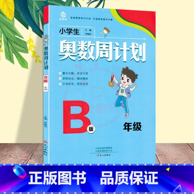 奥数周计划[B版] 小学六年级 [正版]小学生奥数周计划1一2二3三4四5五6六A版B版全套小学数学解决问题天天练同步练