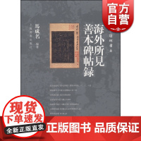 寰宇读碑书系海外所见善本碑帖录 马成名 上海书画出版社 世纪出版 图书籍