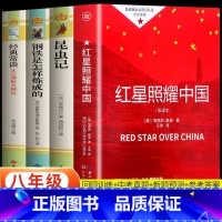 [全4册]八年级上+下推荐书目 [正版]昆虫记原著完整无删减 法布尔昆虫记原版中文全译本 初二八年级课外阅读 昆虫百科全