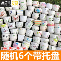 三维工匠多肉花盆陶瓷大号肉肉植物个性绿萝创意简约大口径小花盆 随机6个带托盘10cm 小花盆容器