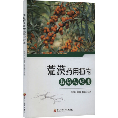 深特洗手液家用清香型杀菌消毒儿童泡沫洗手液家庭装泡沫型抑菌 500毫升(1瓶装)DP1Z32