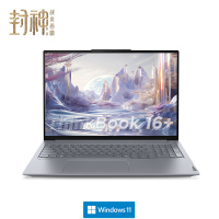 ThinkPad ThinkBook 16+ 00CD 2025款16英寸大屏学生游戏娱乐商务办公笔记本电脑 3.2K高色域屏 定制 锐龙AI 9-365 32G 2TB