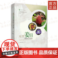 《观赏姜目植物与景观》精装 姜科-观赏植物 收录姜目植物8科56属348种(包含变种及栽培种)