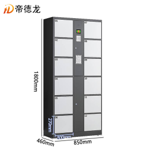 帝德龙电子存包柜12门自编密码CG4 850*460*1800mm