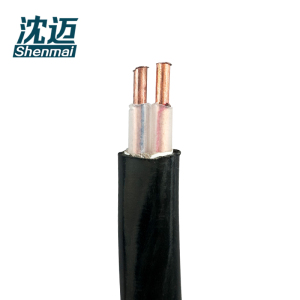 沈迈 铜芯电缆 ZC-YJV-0.6/1kV-2*1.5平方 米