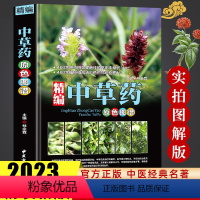 [正版]中草药彩图大全书精编中国药典中药原色图谱图鉴图谱中国药材图鉴中医学书籍中药材大全常用中草药识别应用原色图片中医