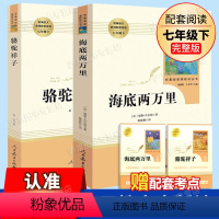 骆驼祥子+海底两万里人教版 [正版]西游记原著完整版无删减版中学生青少年版七年级上下册bi读书人教版人民教育出版社bi读