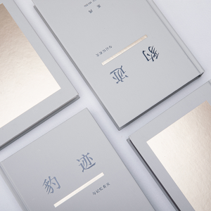 [M]豹迹 与记忆有关-9787542677082