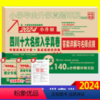 [正版]2024四川十大名校入学真卷小升初真题卷语文 名校自主招生真题模拟试卷 小学毕业升学重点初中摸底卷子 五六年级