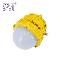 盛王盛荣 LED 防爆照明灯