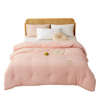三水依梦提花大豆四季被 200*230cm 条
