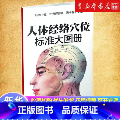 [正版]人体经络穴位标准大图册(超清晰版) 人体经络穴位图解书人体穴位图解大全 中医按摩经络穴位书籍 经络穴位按摩大全