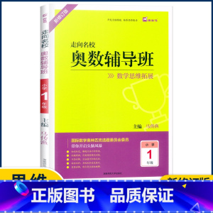 1年级 小学通用 [正版]2022新版 木头马 走向名校奥数辅导班一二三四五六年级上册下册数学思维拓展训练 小学生头脑风