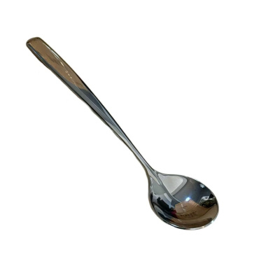 莘煊 不锈钢勺 20cm 个