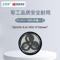 秦源牌 YJLV2-0.6/1KV-3*35mm²铝芯钢带铠装电力电缆 元/米 定制商品 联系客服
