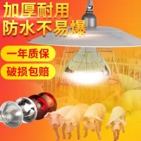苏宁放心购 仔猪保温灯养殖取暖灯泡加厚防水防爆养殖保暖灯泡套装