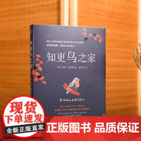 知更鸟之家(奇妙的故事)插图版国外优秀文学作品小说少儿成长励志故事书儿童经典童话1-6年级小学生课外阅读书籍6-12岁