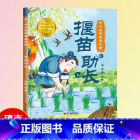 [揠苗助长]中外经典寓言故事(精装绘本) [正版]中国寓言故事书揠苗助长绘本1到3-4一6岁以上大中小班幼儿园精装硬壳宝