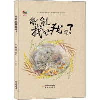 音像你能找到我吗?