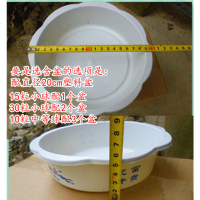 漳州水仙花种球盆栽带盆原产地尾球冬天水培室内植物花卉种子包邮